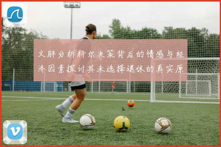 文胖分析科尔决策背后的情感与经济因素探讨其未选择退休的真实原因
